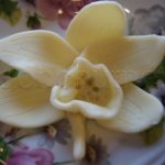 orchidea cymbidium -dekorace na dort