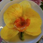 orchidea žlutá ozdoba na dort